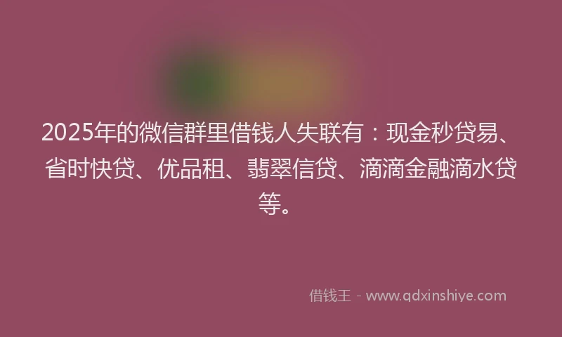 2025年的微信群里借钱人失联有：现金秒贷易、省时快贷、优品租、翡翠信贷、滴滴金融滴水贷等。