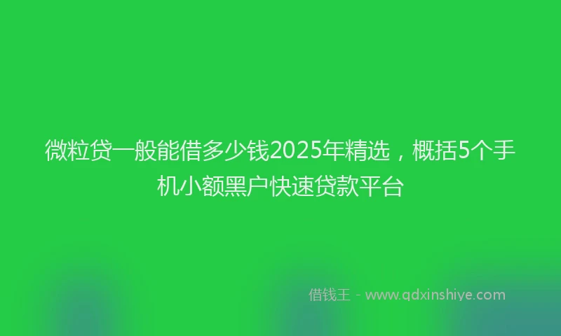 微粒贷一般能借多少钱2025年精选，概括5个手机小额黑户快速贷款平台