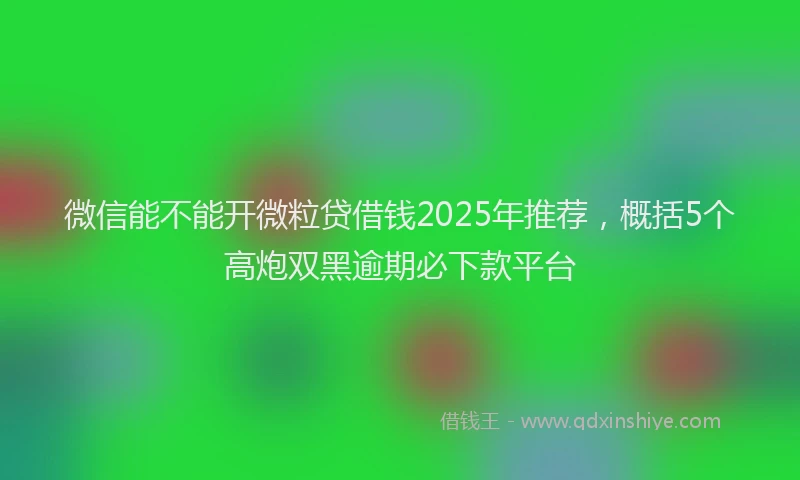微信能不能开微粒贷借钱2025年推荐，概括5个高炮双黑逾期必下款平台