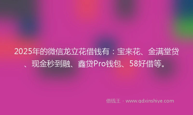 2025年的微信龙立花借钱有：宝来花、金满堂贷、现金秒到融、鑫贷Pro钱包、58好借等。