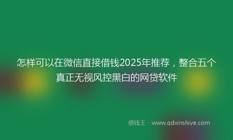 怎样可以在微信直接借钱2025年推荐，整合五个真正无视风控黑白的网贷软件