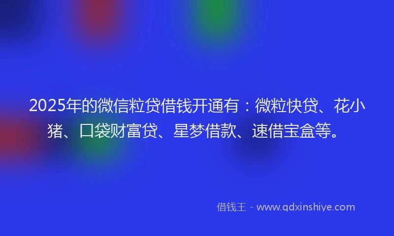 2025年的微信粒贷借钱开通有：微粒快贷、花小猪、口袋财富贷、星梦借款、速借宝盒等。