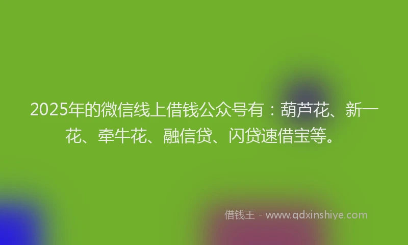 2025年的微信线上借钱公众号有：葫芦花、新一花、牵牛花、融信贷、闪贷速借宝等。
