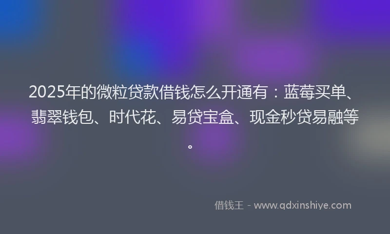 2025年的微粒贷款借钱怎么开通有：蓝莓买单、翡翠钱包、时代花、易贷宝盒、现金秒贷易融等。
