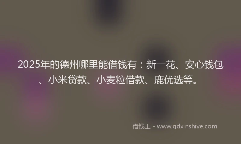 2025年的德州哪里能借钱有：新一花、安心钱包、小米贷款、小麦粒借款、鹿优选等。