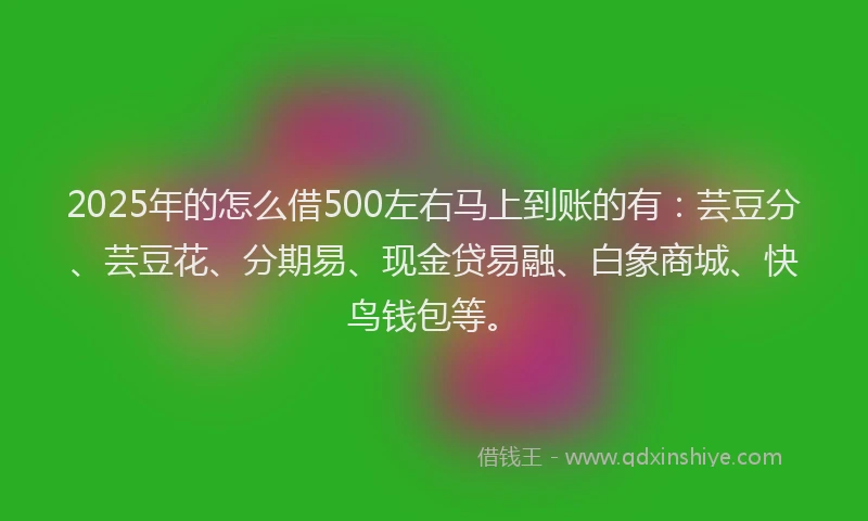 2025年的怎么借500左右马上到账的有：芸豆分、芸豆花、分期易、现金贷易融、白象商城、快鸟钱包等。