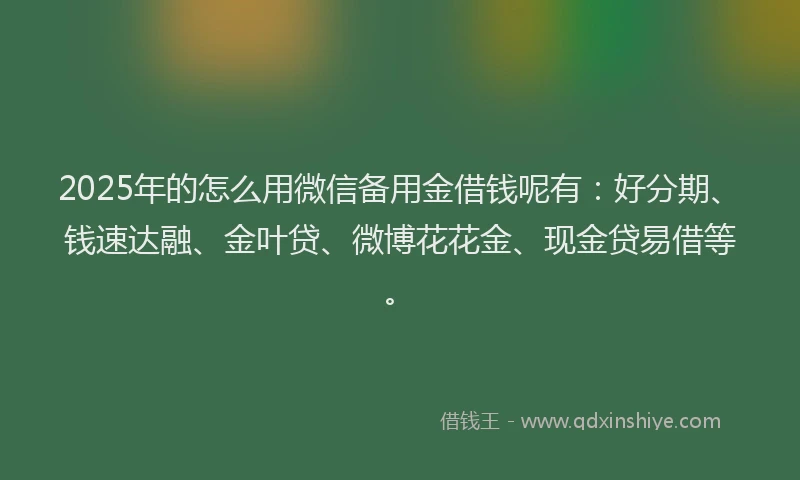 2025年的怎么用微信备用金借钱呢有：好分期、钱速达融、金叶贷、微博花花金、现金贷易借等。