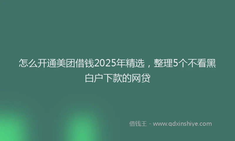 怎么开通美团借钱2025年精选，整理5个不看黑白户下款的网贷