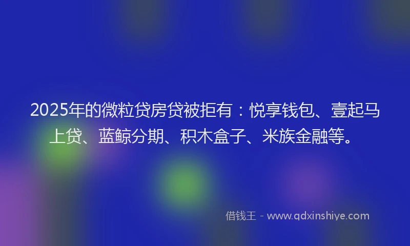 2025年的微粒贷房贷被拒有：悦享钱包、壹起马上贷、蓝鲸分期、积木盒子、米族金融等。