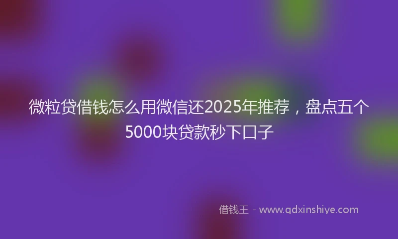 微粒贷借钱怎么用微信还2025年推荐，盘点五个5000块贷款秒下口子