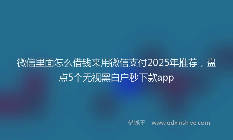 微信里面怎么借钱来用微信支付2025年推荐，盘点5个无视黑白户秒下款app