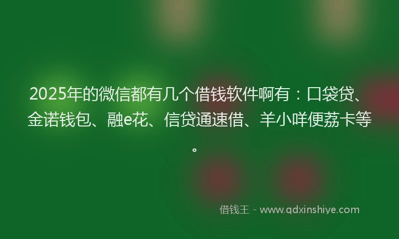 2025年的微信都有几个借钱软件啊有：口袋贷、金诺钱包、融e花、信贷通速借、羊小咩便荔卡等。