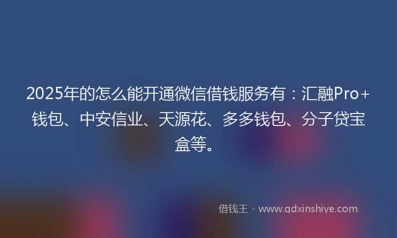 2025年的怎么能开通微信借钱服务有：汇融Pro+钱包、中安信业、天源花、多多钱包、分子贷宝盒等。