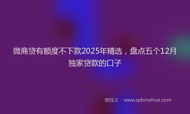 微商贷有额度不下款2025年精选，盘点五个12月独家贷款的口子