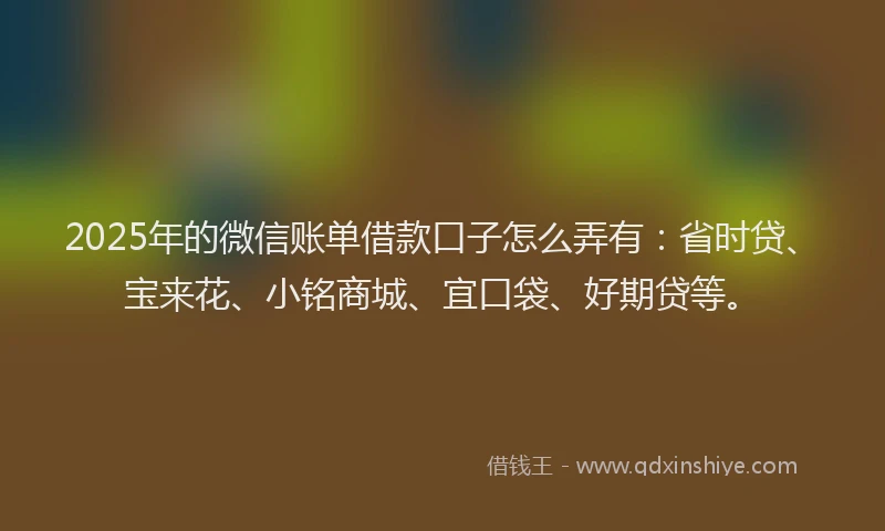 2025年的微信账单借款口子怎么弄有：省时贷、宝来花、小铭商城、宜口袋、好期贷等。