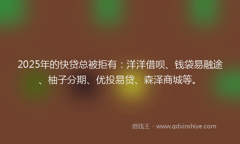 2025年的快贷总被拒有：洋洋借呗、钱袋易融途、柚子分期、优投易贷、森泽商城等。