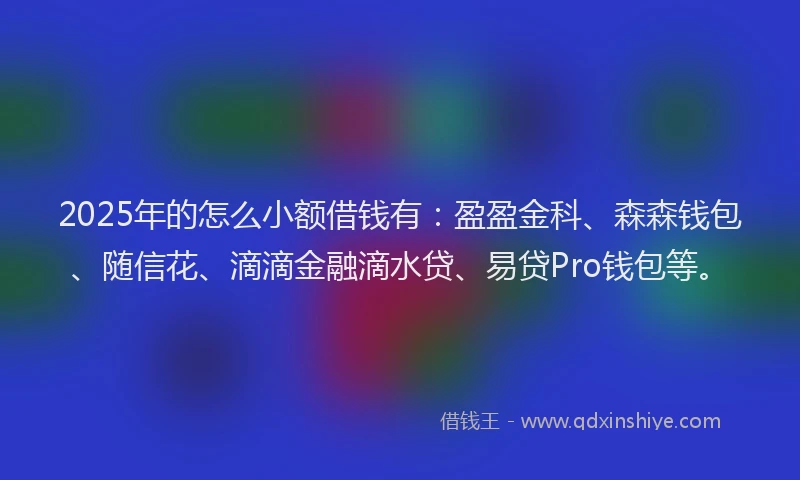 2025年的怎么小额借钱有：盈盈金科、森森钱包、随信花、滴滴金融滴水贷、易贷Pro钱包等。