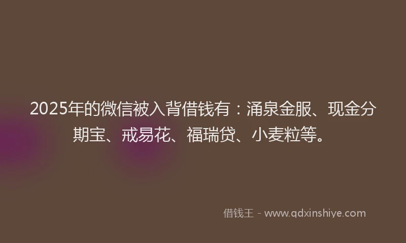 2025年的微信被入背借钱有：涌泉金服、现金分期宝、戒易花、福瑞贷、小麦粒等。