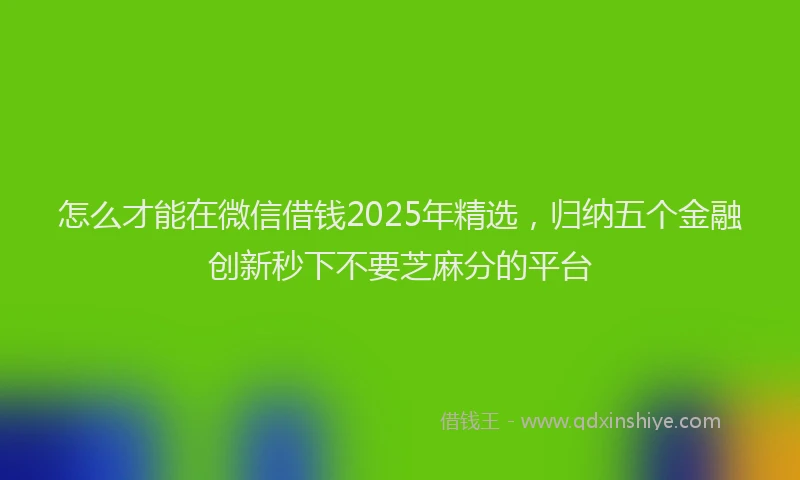 怎么才能在微信借钱2025年精选，归纳五个金融创新秒下不要芝麻分的平台