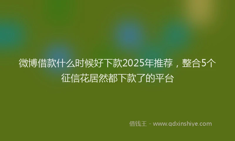 微博借款什么时候好下款2025年推荐，整合5个征信花居然都下款了的平台