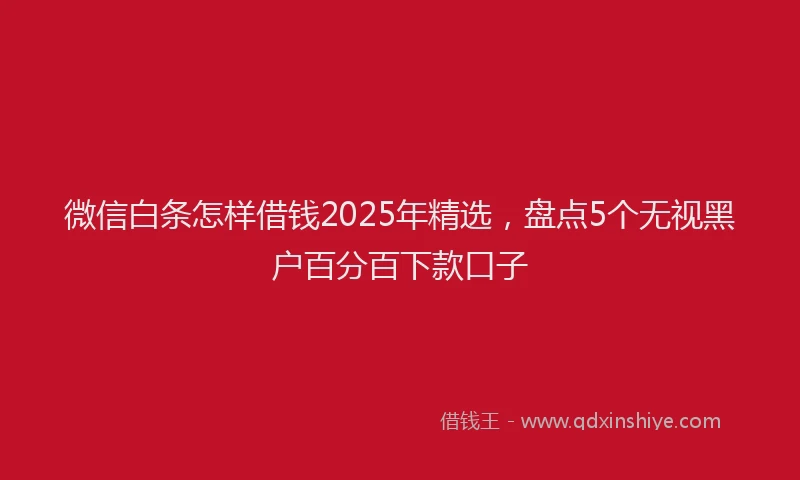 微信白条怎样借钱2025年精选，盘点5个无视黑户百分百下款口子