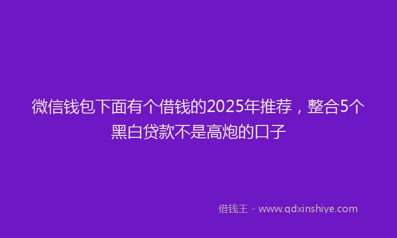 微信钱包下面有个借钱的2025年推荐，整合5个黑白贷款不是高炮的口子