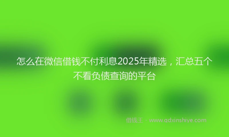 怎么在微信借钱不付利息2025年精选，汇总五个不看负债查询的平台