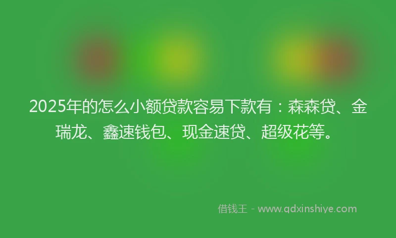 2025年的怎么小额贷款容易下款有：森森贷、金瑞龙、鑫速钱包、现金速贷、超级花等。