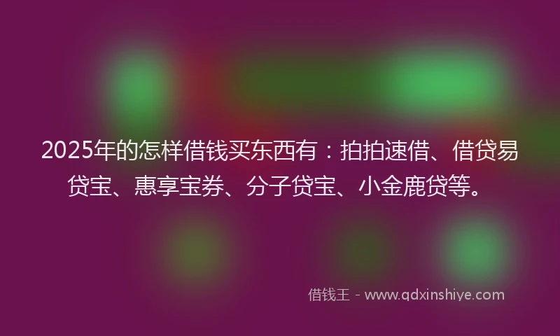 2025年的怎样借钱买东西有：拍拍速借、借贷易贷宝、惠享宝券、分子贷宝、小金鹿贷等。