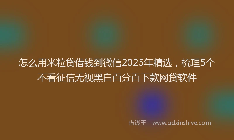怎么用米粒贷借钱到微信2025年精选，梳理5个不看征信无视黑白百分百下款网贷软件