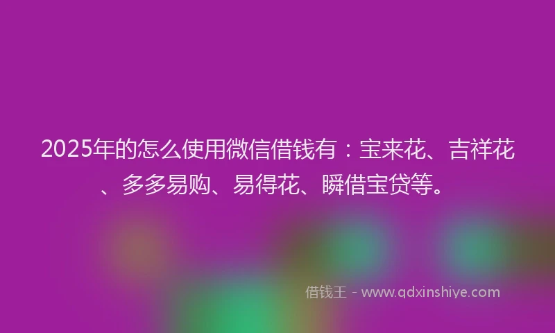 2025年的怎么使用微信借钱有：宝来花、吉祥花、多多易购、易得花、瞬借宝贷等。