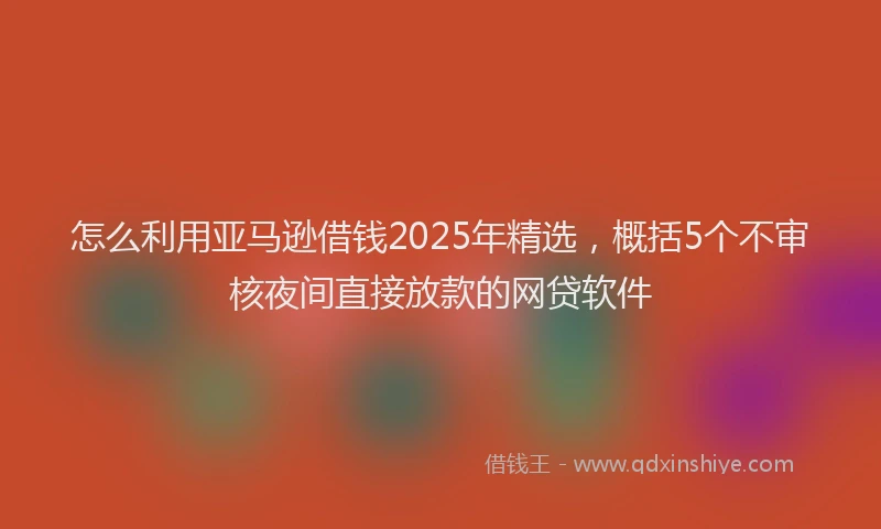 怎么利用亚马逊借钱2025年精选，概括5个不审核夜间直接放款的网贷软件