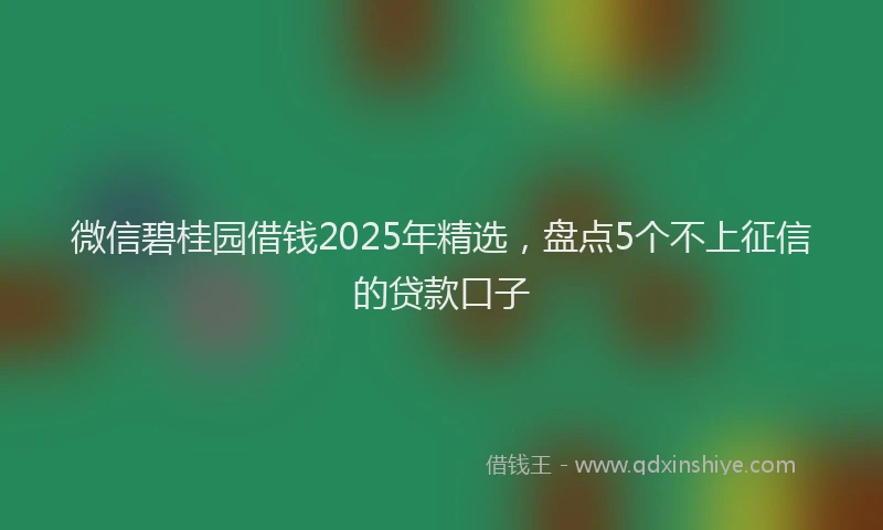 微信碧桂园借钱2025年精选，盘点5个不上征信的贷款口子