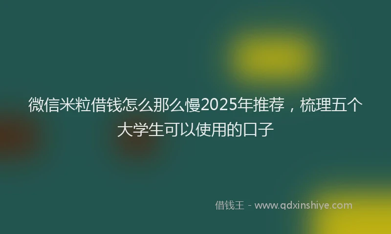 微信米粒借钱怎么那么慢2025年推荐，梳理五个大学生可以使用的口子