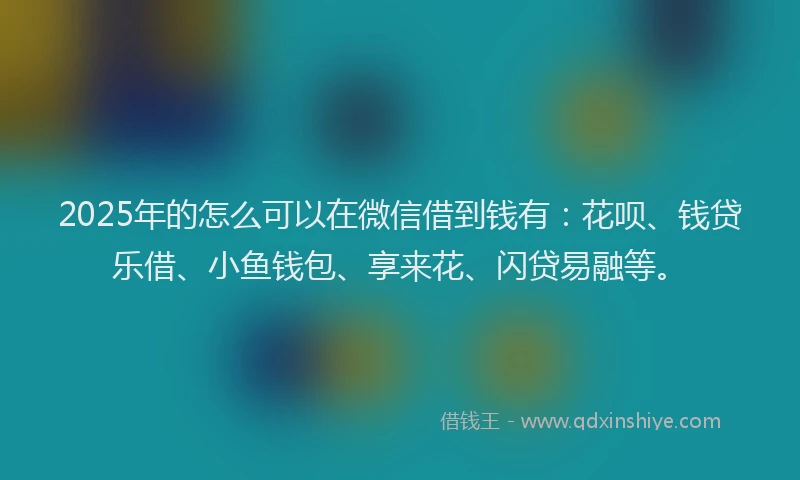 2025年的怎么可以在微信借到钱有：花呗、钱贷乐借、小鱼钱包、享来花、闪贷易融等。