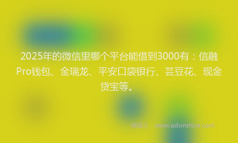 2025年的微信里哪个平台能借到3000有：信融Pro钱包、金瑞龙、平安口袋银行、芸豆花、现金贷宝等。