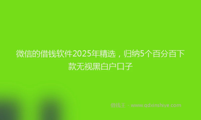 微信的借钱软件2025年精选，归纳5个百分百下款无视黑白户口子