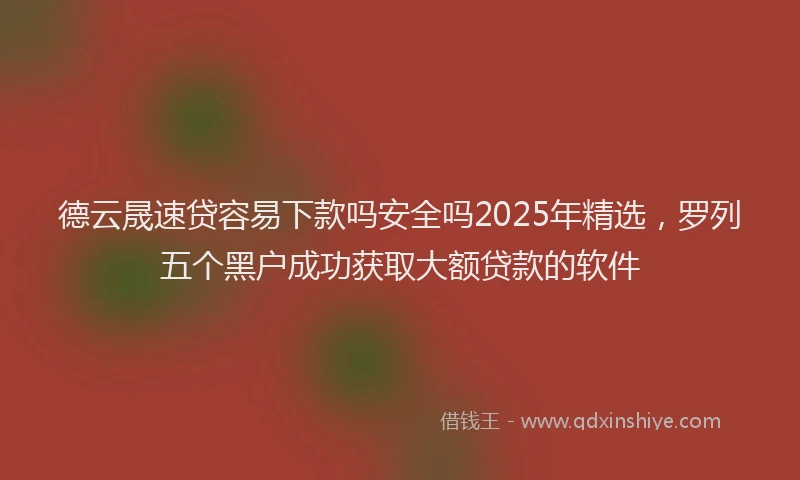 德云晟速贷容易下款吗安全吗2025年精选，罗列五个黑户成功获取大额贷款的软件