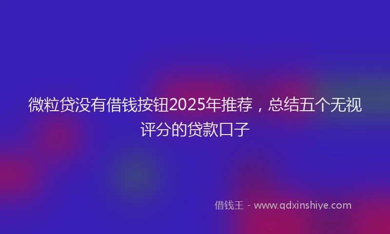 微粒贷没有借钱按钮2025年推荐，总结五个无视评分的贷款口子