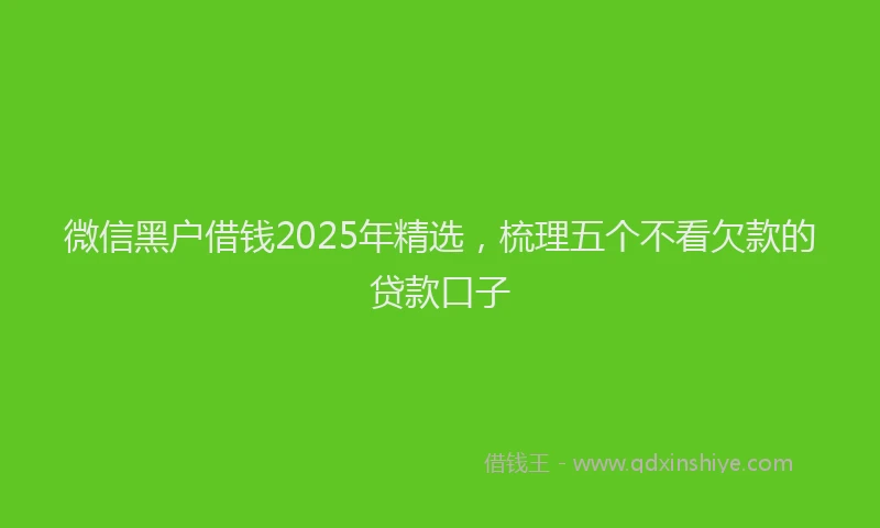 微信黑户借钱2025年精选，梳理五个不看欠款的贷款口子