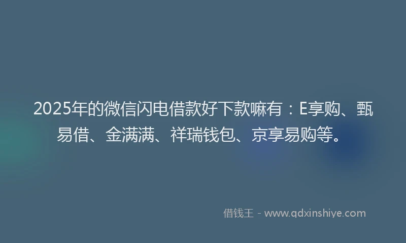 2025年的微信闪电借款好下款嘛有：E享购、甄易借、金满满、祥瑞钱包、京享易购等。