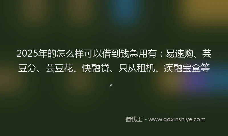2025年的怎么样可以借到钱急用有：易速购、芸豆分、芸豆花、快融贷、只从租机、疾融宝盒等。
