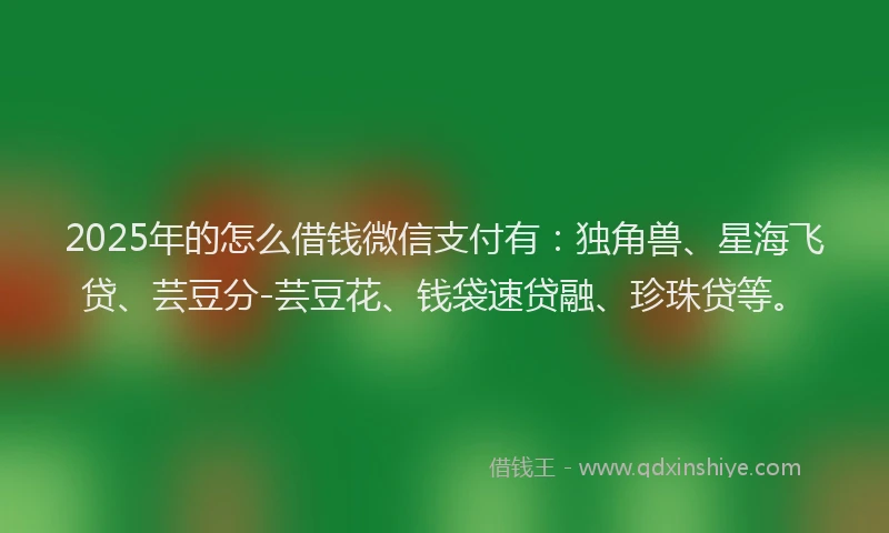 2025年的怎么借钱微信支付有：独角兽、星海飞贷、芸豆分-芸豆花、钱袋速贷融、珍珠贷等。