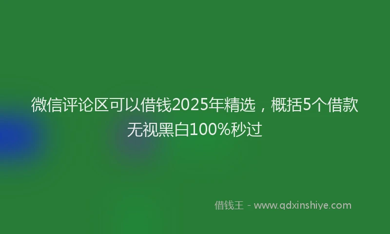 微信评论区可以借钱2025年精选，概括5个借款无视黑白100%秒过