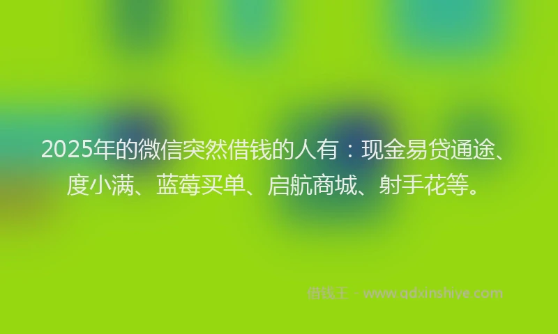 2025年的微信突然借钱的人有：现金易贷通途、度小满、蓝莓买单、启航商城、射手花等。