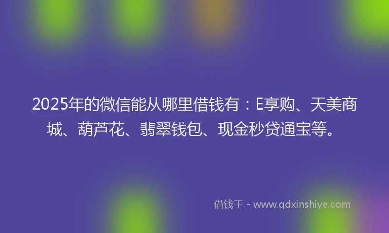 2025年的微信能从哪里借钱有：E享购、天美商城、葫芦花、翡翠钱包、现金秒贷通宝等。