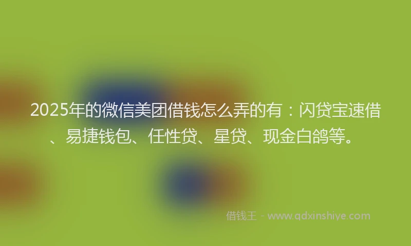 2025年的微信美团借钱怎么弄的有：闪贷宝速借、易捷钱包、任性贷、星贷、现金白鸽等。