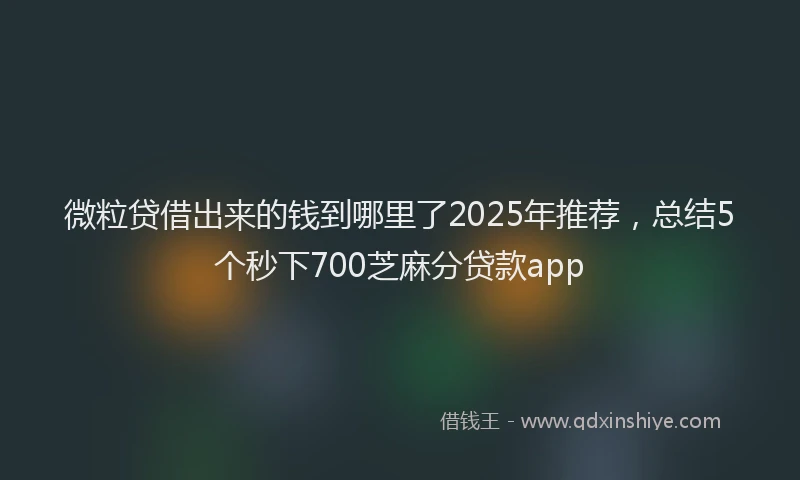 微粒贷借出来的钱到哪里了2025年推荐，总结5个秒下700芝麻分贷款app