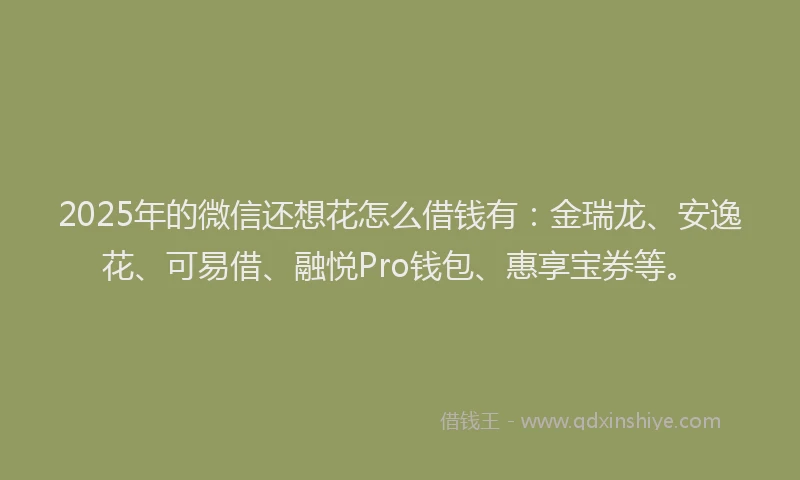 2025年的微信还想花怎么借钱有：金瑞龙、安逸花、可易借、融悦Pro钱包、惠享宝券等。