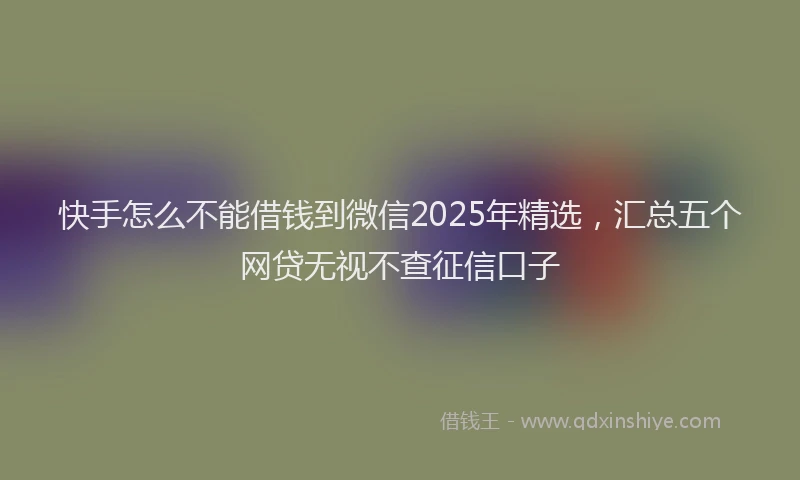 快手怎么不能借钱到微信2025年精选，汇总五个网贷无视不查征信口子